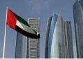 کسی پاکستانی شہری پر ویزے کی پابندی نہیں ، یو اے ای