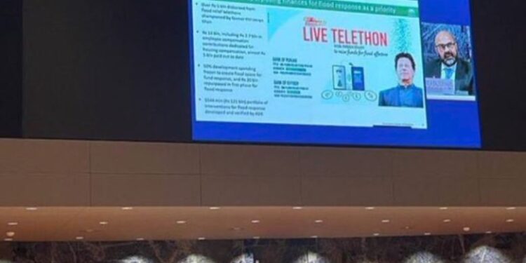 جنیوا کانفرنس میں عمران خان کی تصویر کی کہانی کیا ہے؟