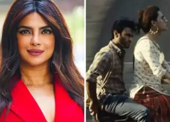 پریانکا چوپڑہ کا ” جوائے لینڈ ” ہر ایک کو دیکھنے کا مشورہ