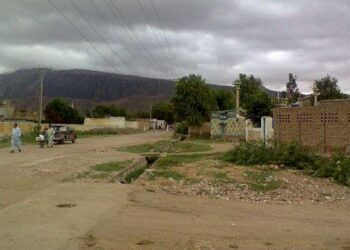 خاتون سمیت 3 افراد کے قتل کا معاملہ