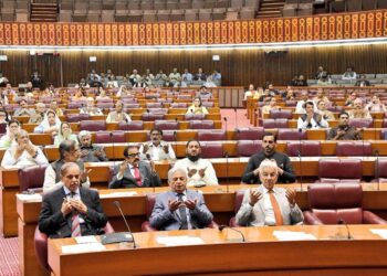 سپریم کورٹ نے اپنی حد سے تجاوز کیا ہے