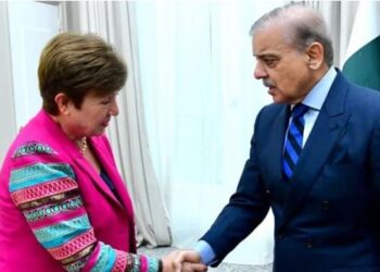 وزیراعظم کی ایم ڈی آئی ایم ایف سے ملاقات