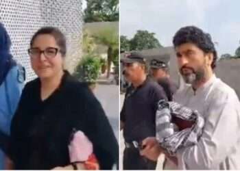 شہریار اور شاندانہ گلزار کو رہا کرنے کا حکم