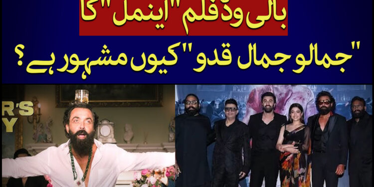 جمالو جمال قدو کیوں مقبول ہوا؟