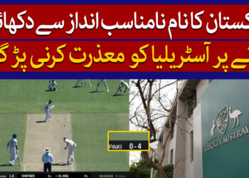 پاکستان کا نام نامناسب دکھانے پر معذرت