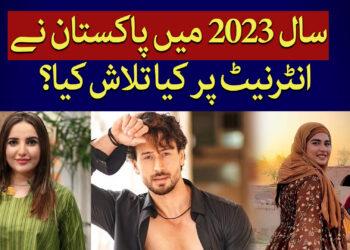 پاکستانیوں نے انٹر نیٹ پر کیا تلاش کیا؟