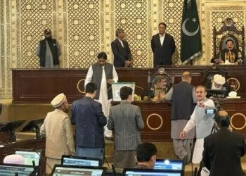 سنی اتحاد کونسل کے بابر سلیم اسپیکر خیبرپختونخوا منتخب