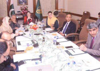 ایک لاکھ گھروں کے لیے جامع پلان طلب