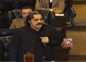 علی امین گنڈا پور ، خیبرپختونخوا کے نئے وزیراعلیٰ منتخب