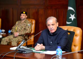 ٹیکس چور مافیا ملک کے لیے نقصان دہ ہے، شہباز شریف