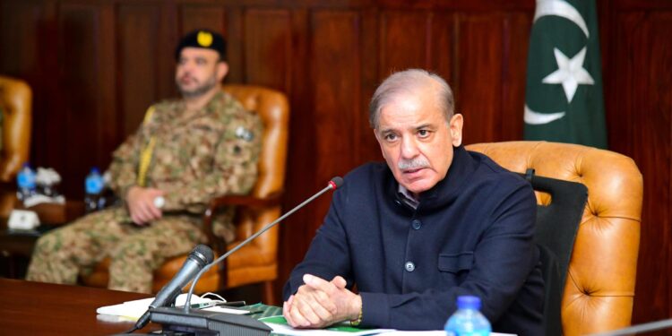 ٹیکس چور مافیا ملک کے لیے نقصان دہ ہے، شہباز شریف