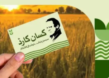 کسان کارڈ پر نواز شریف کی  تصویر نہیں لگائیں گے، پنجاب حکومت