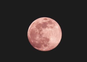 دنیا بھر میں ” گلابی چاند ” دیکھا گیا