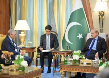 بل گیٹس اور وزیراعظم شہباز شریف کی ملاقات