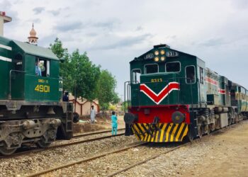 ملت ایکسپریس معاملہ : مقتولہ کے بھائی کے انکشاف