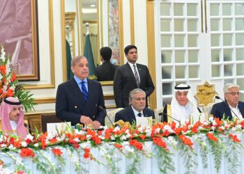 سعودی وفد کی وجہ سے اربوں ڈالر کی سرمایہ کاری ہوگی