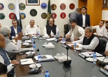 کے پی وزیراعلیٰ کی وفاقی وزیر داخلہ محسن نقوی سے دوسری ملاقات