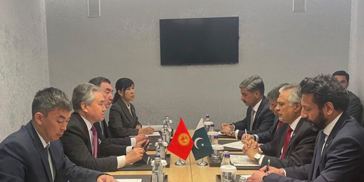 کرغزستان کا مجرموں کے خلاف سزا دینے کا عزم