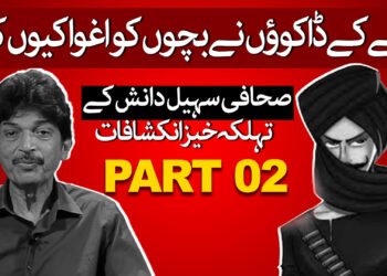 کچے کے ڈاکو دوسرا حصہ