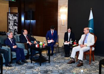 چین کی ترقی کے ماڈل سے استفادہ کرنا چاہتا ہے