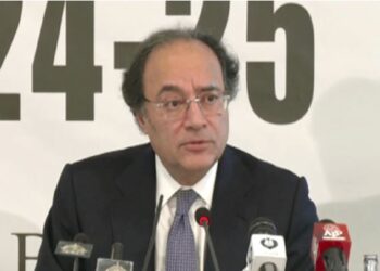 تنخواہ دار طبقے پر ٹیکس لگائے بغیر آگے نہیں بڑھ سکتے