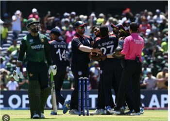 کرکٹ میں امریکا سے ہار، معاملہ عدالت میں