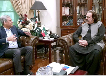 وزیر داخلہ اور وزیر اعلیٰ کے پی کا لوڈ شیڈنگ کے معاملات حل کرنے پر اتفاق