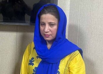 طاہرانجم پر تشدد، انیلا ریاض جوڈشل ریمانڈ پر