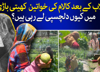 کالام کی کسان خواتین