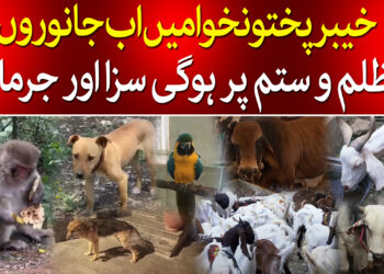 جانوروں کے تحفظ کے لیے قانون