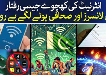 فری لانسرز کی مشکلات