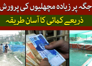 کم جگہ پر زیادہ مجھلیوں کی پرورش