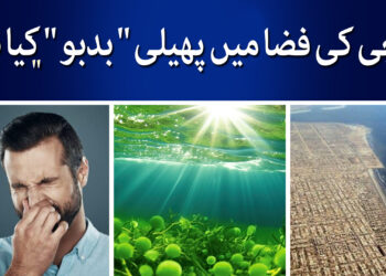 کراچی کی فضا میں پھیلی بو کیا ہے ؟