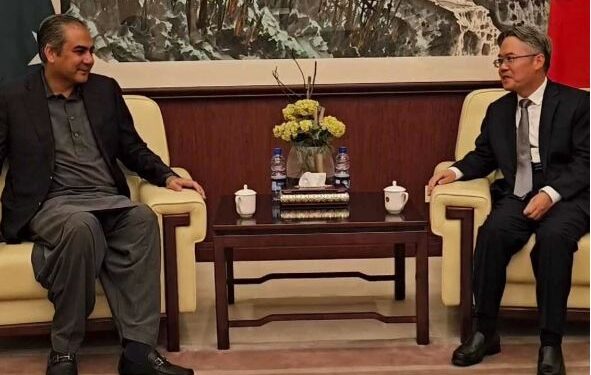 وفاقی وزیر داخلہ کا  چینی شہریوں اور منصوبوں کی حفاظت کو یقینی بنانے کا عزم