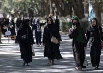 راشد خان طالبان کے فیصلے کیخلاف ڈٹ گئے