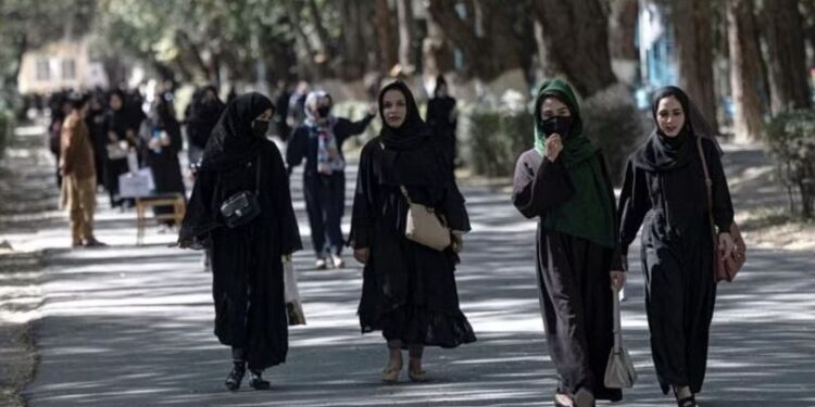 راشد خان طالبان کے فیصلے کیخلاف ڈٹ گئے