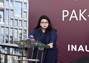 انٹرنیٹ بند کرنے کا ہمارے پاس کوئی بٹن نہیں