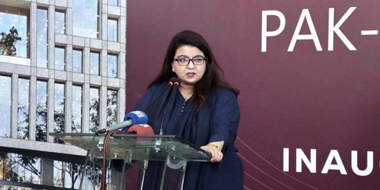 انٹرنیٹ بند کرنے کا ہمارے پاس کوئی بٹن نہیں