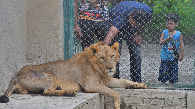 لاہور چڑیا گھر ، 50 کروڑ روپے میں ٹھیکے پر دے دیا گیا