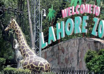 لاہور چڑیا گھر ، 50 کروڑ روپے میں ٹھیکے پر دے دیا گیا