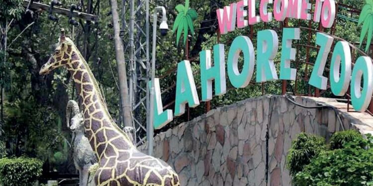 لاہور چڑیا گھر ، 50 کروڑ روپے میں ٹھیکے پر دے دیا گیا