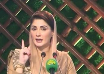 جانوروں کا ہی نہیں سیاسی جماعتوں کی بیماریوں کا بھی اچھا علاج کریں گے