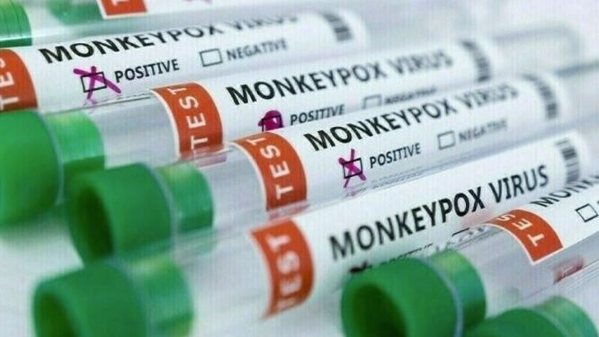 رواں سال کا  پہلا منکی پاکس کیس پشاور ایئرپورٹ سے رپورٹ