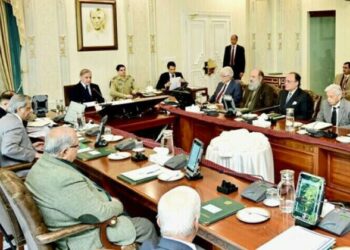 مزید 15 آئی پی پیز کےساتھ نئے معاہدے کی منظوری