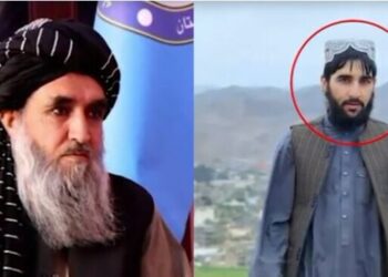 افغان حکومت، فتنتہ الخوارج کے گٹھ جوڑ کا پردہ فاش