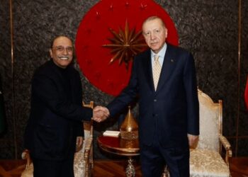 صدر زرداری کی دورہ پرتگال کے دوران  ترک ہم منصب سے ملاقات