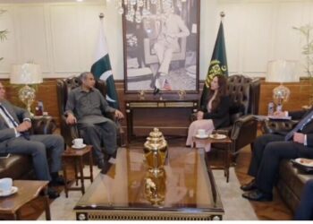 وزیر داخلہ سے قائم مقام امریکی سفیر کی ملاقات، پاکستان میں دہشت گردانہ حملوں کی مذمت