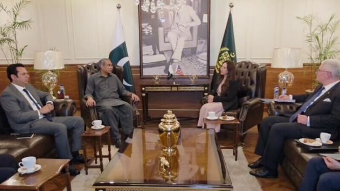 وزیر داخلہ سے قائم مقام امریکی سفیر کی ملاقات، پاکستان میں دہشت گردانہ حملوں کی مذمت