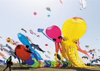 سٹی آف شوگر لینڈ میں انٹرنیشنل آرٹ اینڈ کائٹ فیسٹیول