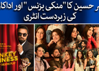 یاسر حسین کا منکی بزنس